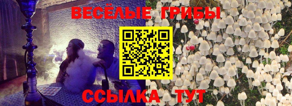 Галлюциногенные грибы Cubensis Туапсе